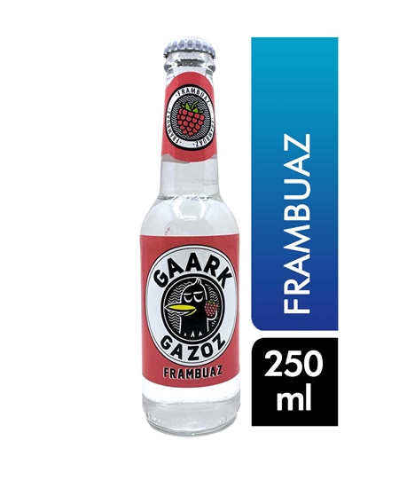 Picture of Gaark Gazoz 250 ml Frambuaz