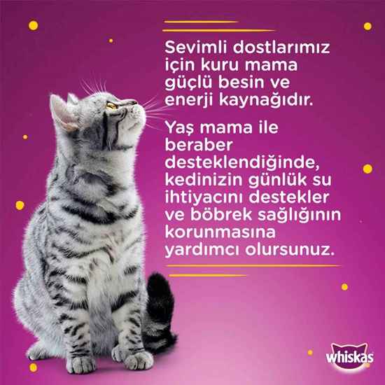 	whiskas, kedi maması, hayvan maması, kuru kedi maması, yaş kedi maması, poşet kedi maması, tavuklu kedi maması, hayvansal gıda kedi maması, tahılsız kedi maması, kedi maması satın al, kedi maması fiyatları, toptan kedi maması