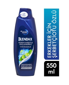 Blendax Shampoo 550 ml Anti-Dandruff For Men Picture of  Blendax Shampoo 550 ml Anti-Dandruff For Men