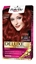 P-Palette Deluxe Sonbahar Kızılı 6-888 Tüp Krem Saç Boyası 50 ml Picture of P-Palette Deluxe Sonbahar Kızılı 6-888 Tüp Krem Saç Boyası 50 ml