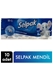 Picture of Selpak Mendil 10'lu Paket