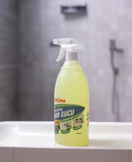 Picture of Borline Yağ Sökücü 1000 ml