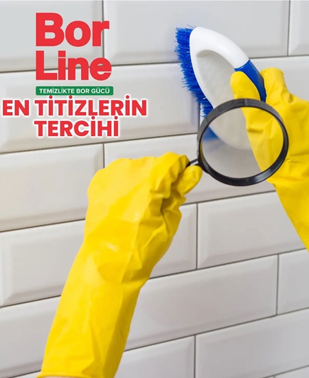 Picture of Borline Yüzey Temizleyici 1000 ml Bahar Çiçekleri
