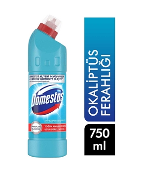 Domestos Bleach 750 Ml - Eucalyptus Freshness Picture of Domestos Bleach 750 Ml - Eucalyptus Freshness