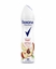 Picture of REXONA PEACH SPARK DEO SPR. D5 24X150ML