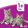 	whiskas, kedi maması, hayvan maması, kuru kedi maması, yaş kedi maması, poşet kedi maması, tavuklu kedi maması, hayvansal gıda kedi maması, tahılsız kedi maması, kedi maması satın al, kedi maması fiyatları, toptan kedi maması