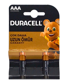 Duracell Battery AAA 2's Picture of Duracell Battery AAA 2's