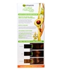 Garnier,Garnier Color Naturals Saç Boyası no:6.34 Altın Kumral,saç boyaları,kadın saç boyaları çeşitleri,kadın saç boyala fiyatları,saç boyaları ne kadar,kozmetik ürünleri,kadın bakım ürünleri,saç boyaları,boya çeşitleri,toptan satın al,toptan kozmetik,toptan mağazacılık,toptantr