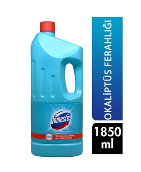 Domestos Bleach 1850 ml Eucalyptus Freshness Picture of  Domestos Bleach 1850 ml Eucalyptus Freshness