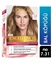 Picture of Loreal Excellence Set Saç Boyası Bal Köpüğü No: 7.31
