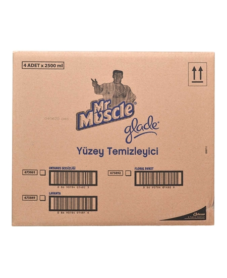 Picture of Mr Muscle Konsantre Yüzey Temizleyici Floral Buket 2500ml