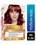 Picture of LOREAL EXCELLENCE BOYA INTS 6.66 YOĞUN K