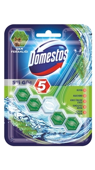 Domestos Toilet Block 55 gr 5 Power Pine Freshness koku, domestos, tuvalet bloğu, tuvalet blogu, klozet kokusu, banyo kokusu, tuvalet kokusu giderici