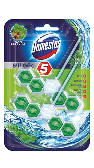 koku, domestos, tuvalet bloğu, tuvalet blogu, klozet kokusu, banyo kokusu, tuvalet kokusu giderici