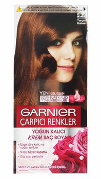 GARNIER COLOR SENSATION 5.35 Picture of GARNIER COLOR SENSATION 5.35