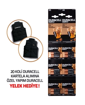 Duracell Battery AA 12's Picture of Duracell Battery AA 12's