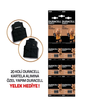 Duracell Battery AAA 12's Picture of Duracell Battery AAA 12's