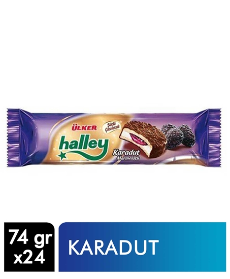 Picture of ÜLKER HALLEY MİNİ KARADUT DOLGULU 74GR 24 LÜ