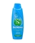 blendax, blendax fiyatları, blendax çeşitleri, 470 ml blendax, 470 ml şampuan, şampuan, şampuan fiyatları, şampuan çeşitleri, toptan şampuan