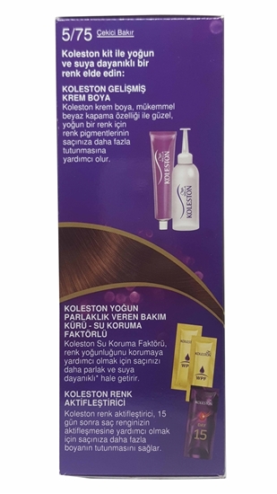 Koleston, Koleston Kit, Koleston Set, Saç Boyası, koleston saç boyası satın al, koleston saç boyası fiyatı, toptan saç boyası fiyatları, saç nasıl boyanır, saç boyası zararlı mı