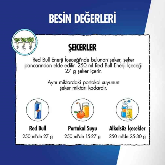 Picture of Red Bull Enerji İçeceği 250 ml X 24'lü Koli Winter Edition