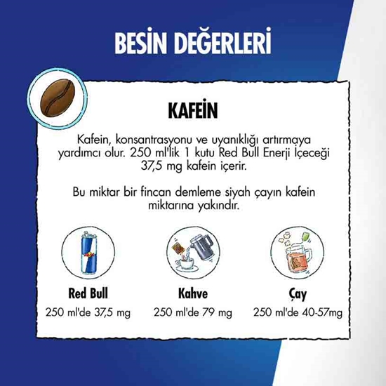 Picture of Red Bull Enerji İçeceği 250 ml X 24'lü Koli Winter Edition