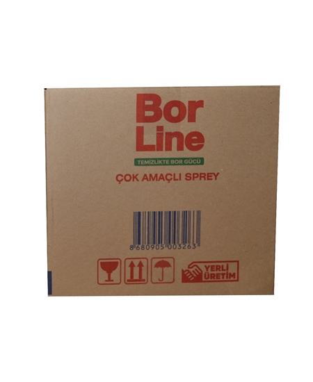 Picture of Borline Yağ Sökücü 1000 ml